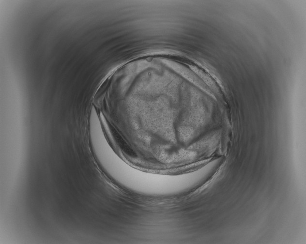 X0000111941369200908171248