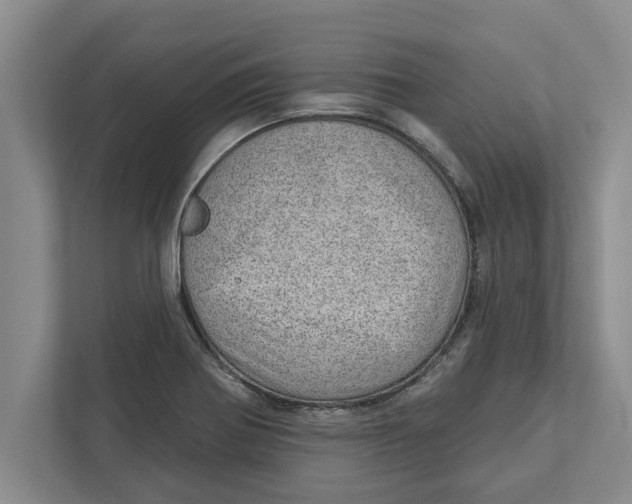 X0000111941370200908171248