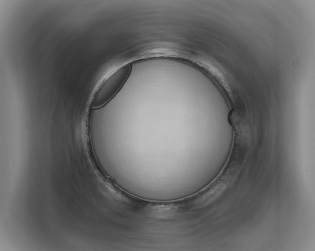 X0000111941373200908171248