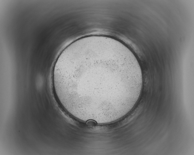 X0000111941375200908171248