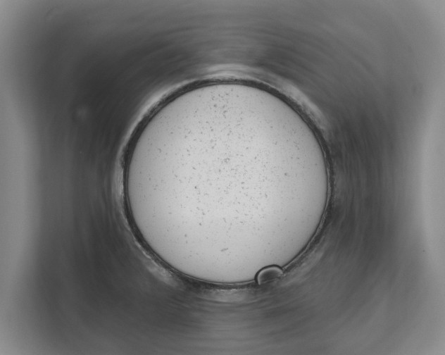 X0000111941376200908171248