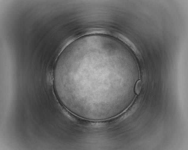 X0000111941377200908171248