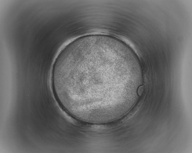 X0000111941379200908171248