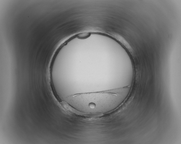 X0000111941380200908171248