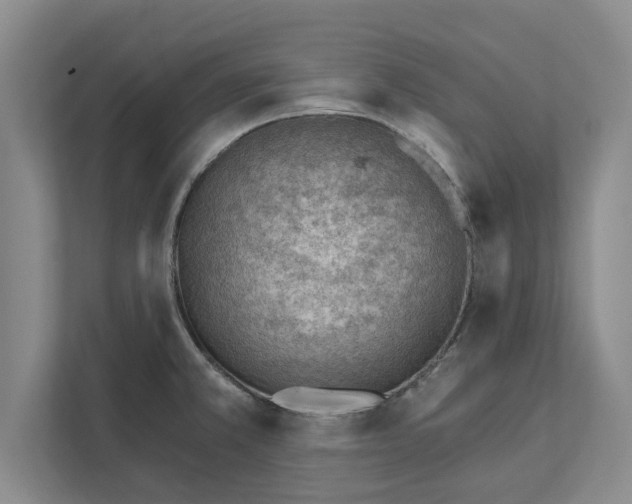 X0000111941381200908171248