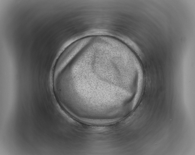 X0000111941382200908171248