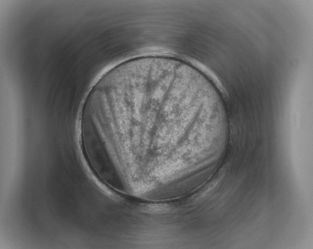 X0000111941383200908171248