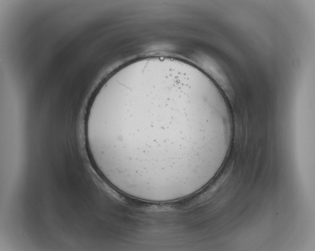 X0000111941384200908171248