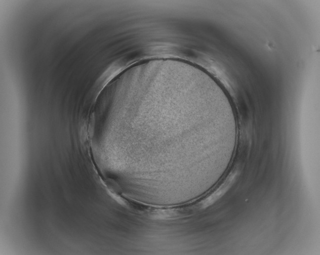 X0000111941385200908171248