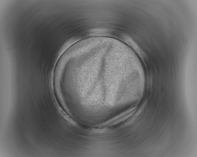 X0000111941386200908171248