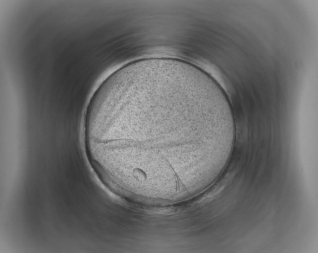 X0000111941387200908171248