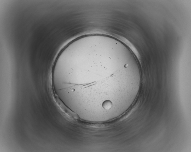 X0000111941388200908171248