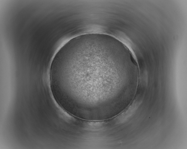 X0000111941389200908171248