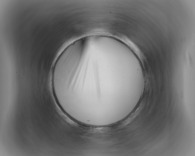 X0000111941390200908171248