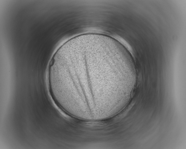 X0000111941391200908171248