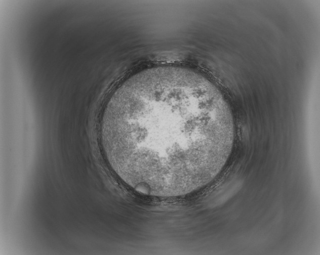 X0000111941393200908171247