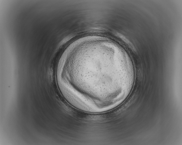 X0000111941402200908171247