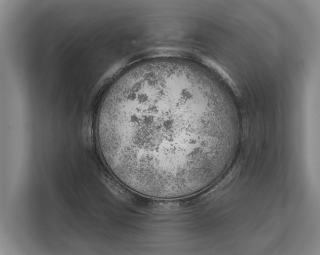 X0000111941403200908171247