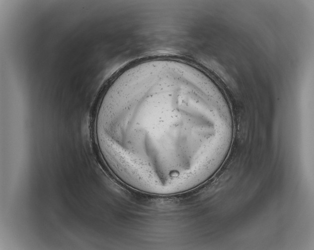 X0000111941404200908171247