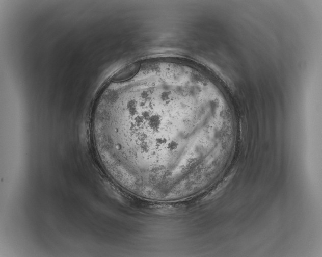 X0000111941405200908171247