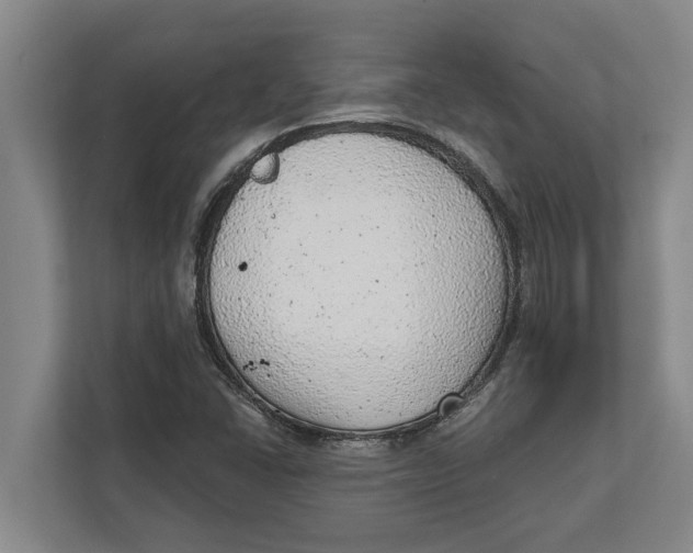 X0000111941406200908171247