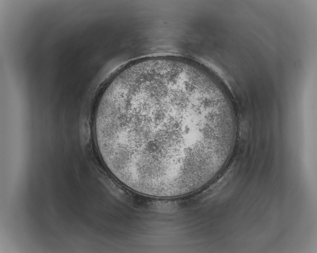 X0000111941407200908171247