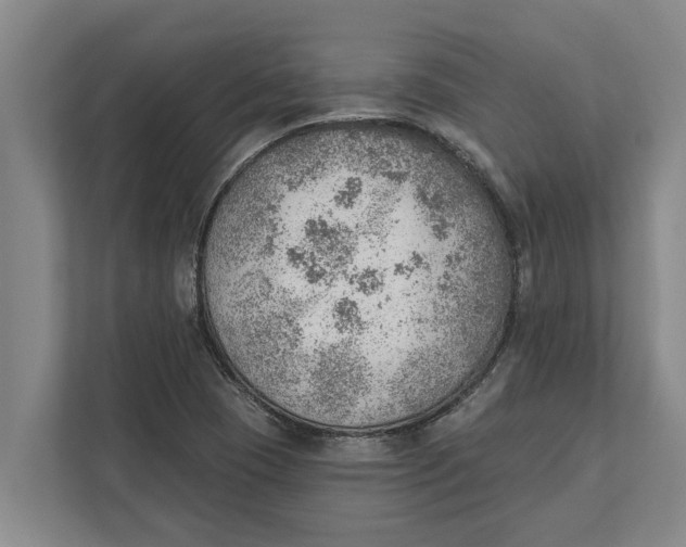 X0000111941409200908171247