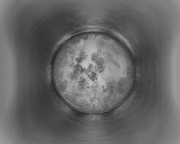 X0000111941411200908171248