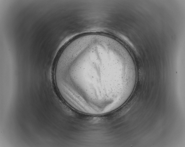 X0000111941412200908171248