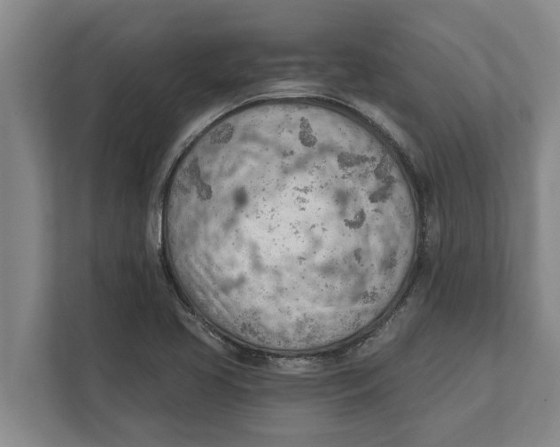 X0000111941413200908171248