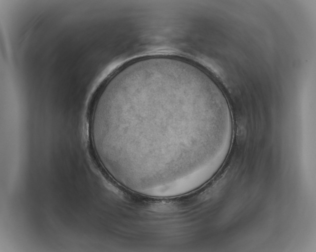 X0000111941414200908171248