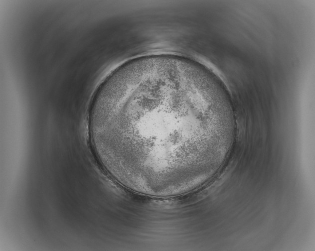 X0000111941415200908171248