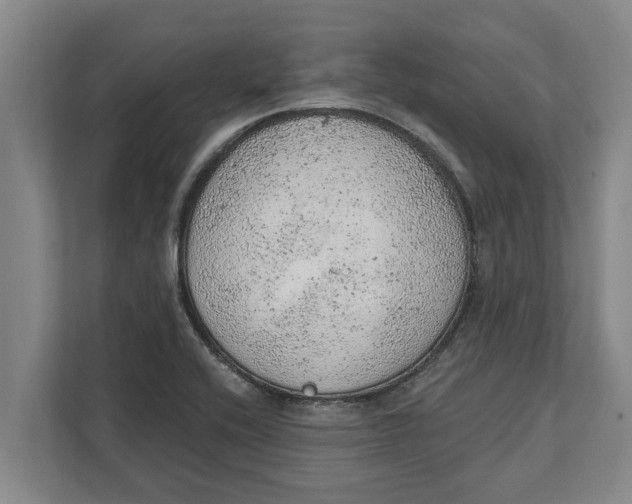 X0000111941416200908171248