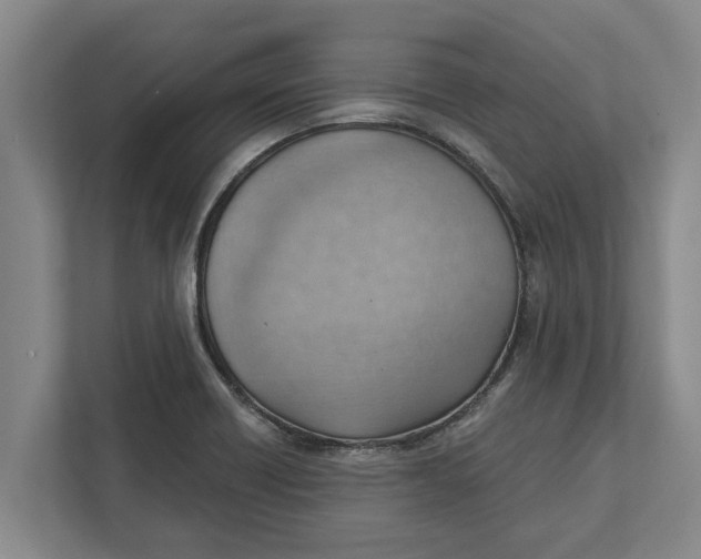 X0000111941418200908171248