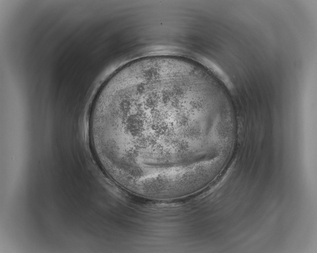 X0000111941419200908171248