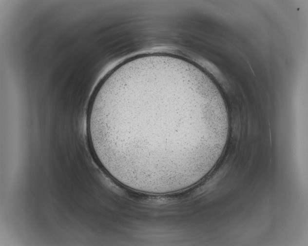 X0000111941420200908171248