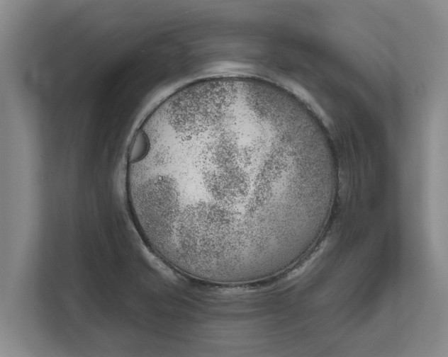 X0000111941421200908171248