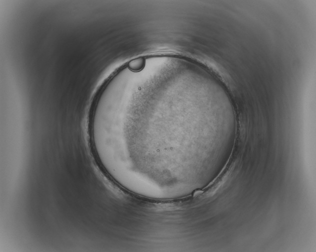 X0000111941422200908171248