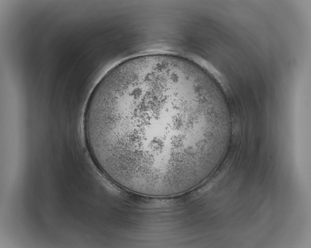 X0000111941423200908171248