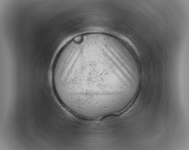 X0000111941424200908171248