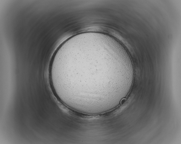 X0000111941426200908171248