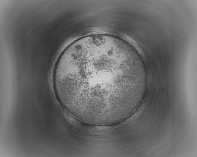 X0000111941427200908171248