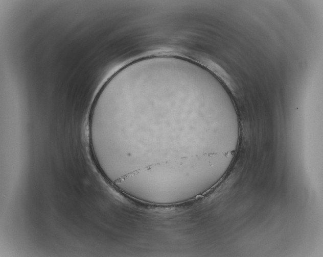 X0000111941428200908171248