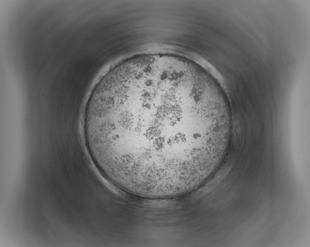 X0000111941429200908171248