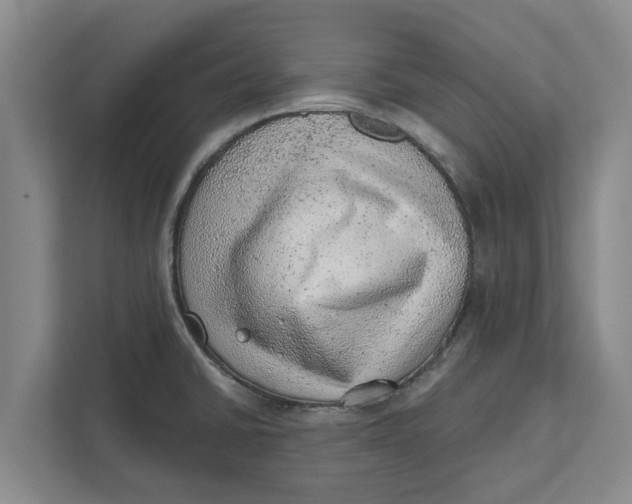 X0000111941430200908171248