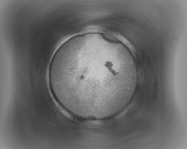 X0000111941431200908171248