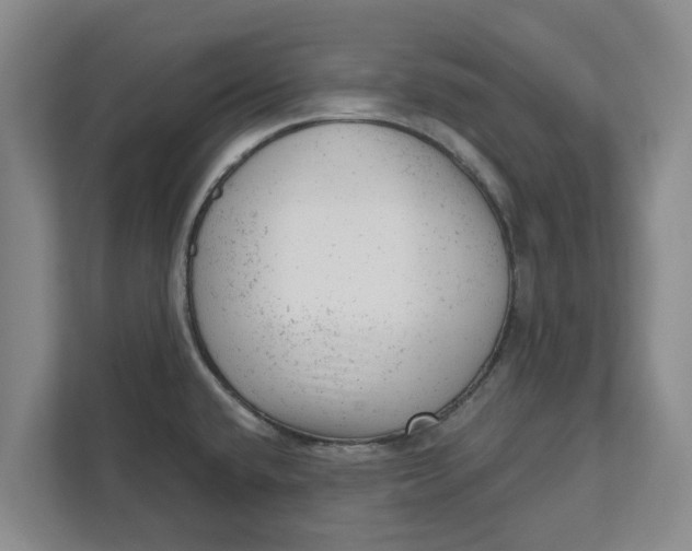 X0000111941432200908171248