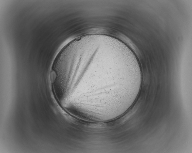 X0000111941434200908171248