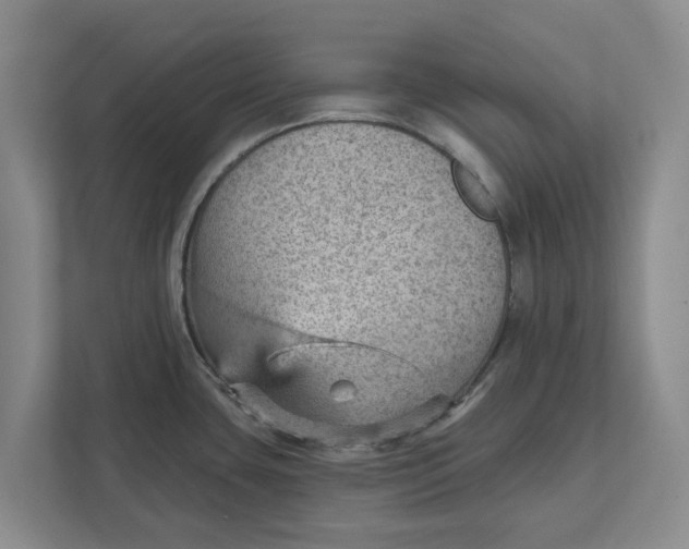 X0000111941435200908171248