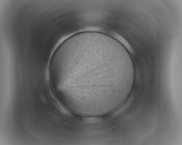 X0000111941436200908171248